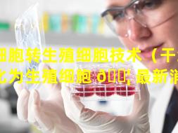 干细胞转生殖细胞技术（干细胞转化为生殖细胞 🐦 最新消息）